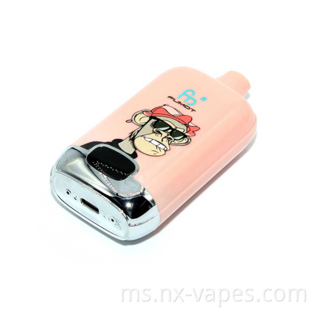 RandM Digital Box 12000 10